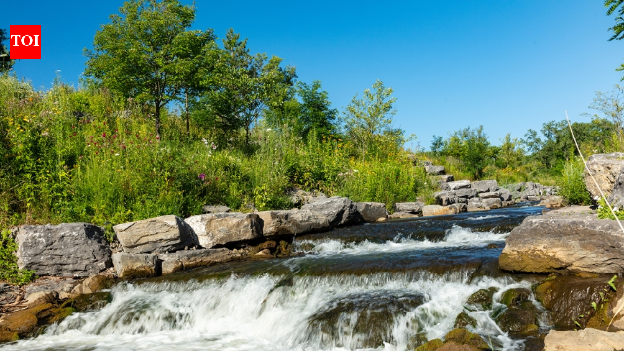 Albany daylighted 1,500 ft of buried creek; peak flows soon exceeded old pipe's capacity