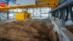 New foam made from discarded wood can decompose in soil within months
