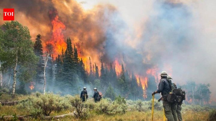 Tech NewsCanadian wildfires cut solar power by 6.38 TWh, caused $1.9bn loss in 2023