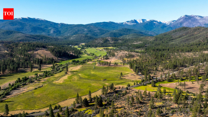 170-year-old California cattle ranch sold for $15.5m, will open to public
