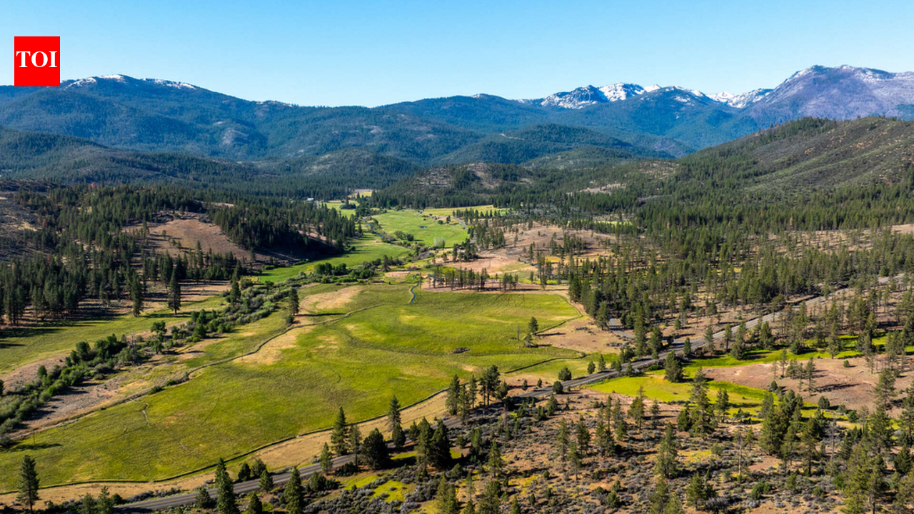 170-year-old California cattle ranch sold for $15.5m, will open to public
