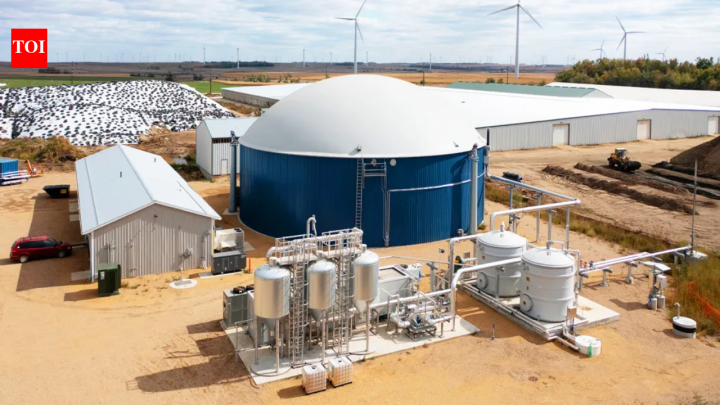 Minnesota dairy turns cow manure into 480,000 gallons of renewable gas