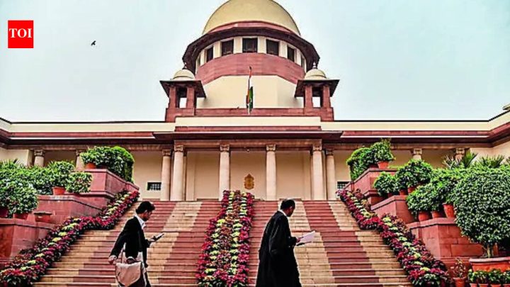 IndiaSC faults UP Gangsters Act, says it is prone to misuse