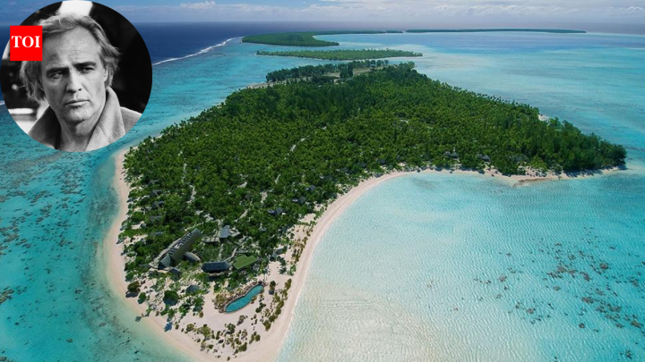 Marlon Brando bought an atoll in 1966; today it protects thousands of turtles