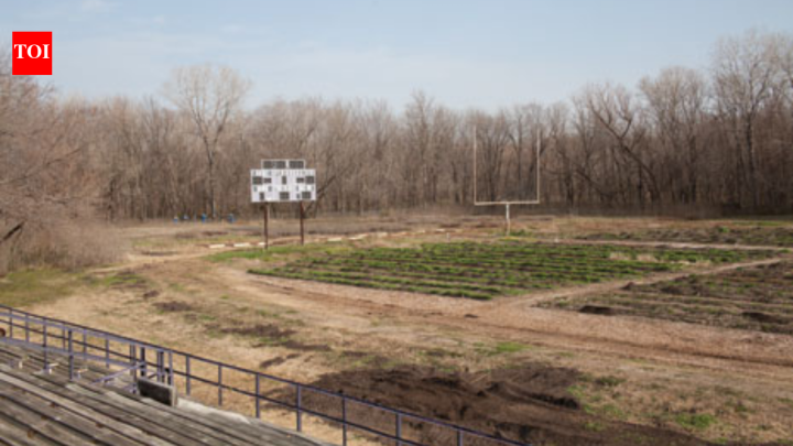 One man turned a football field into a farm in an American food desert