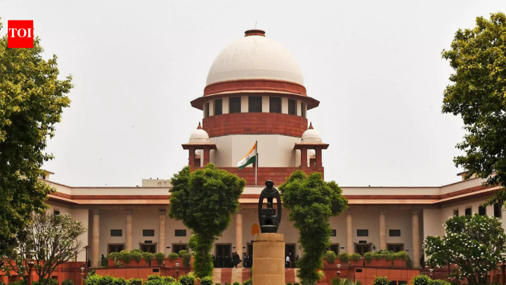 India'No compelling circumstance': SC refuses to stop CJP's September 5 Delhi march