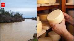California ranch donation leads to 220-acre San Joaquin floodplain restoration