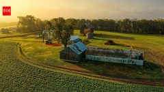 California couple restored 136-acre farm into thriving wildlife habitat