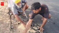ChandigarhWatch: Bathinda villagers peel off newly laid road with bare hands