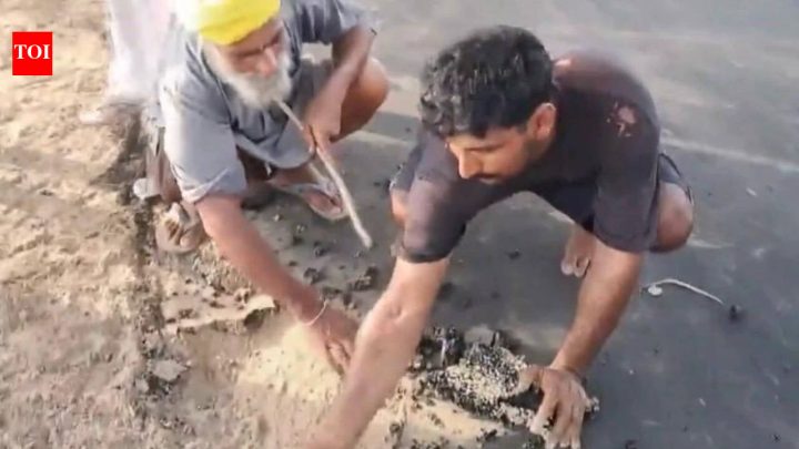 ChandigarhWatch: Bathinda villagers peel off newly laid road with bare hands