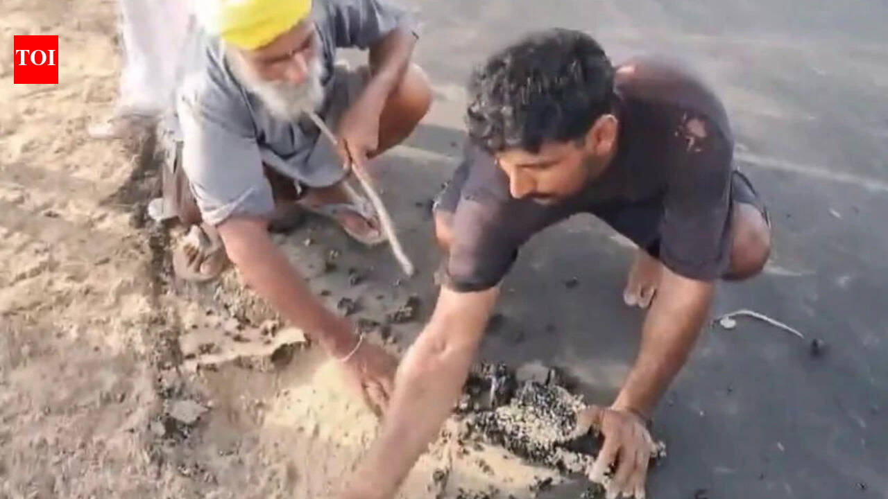 ChandigarhWatch: Bathinda villagers peel off newly laid road with bare hands