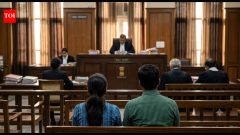Delhi‘Live-in relationship akin to marriage, parents can’t interfere’: Delhi HC