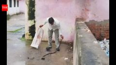 TrendingUP man bitten by 5-ft snake kills it, then walks into hospital carrying it in bag