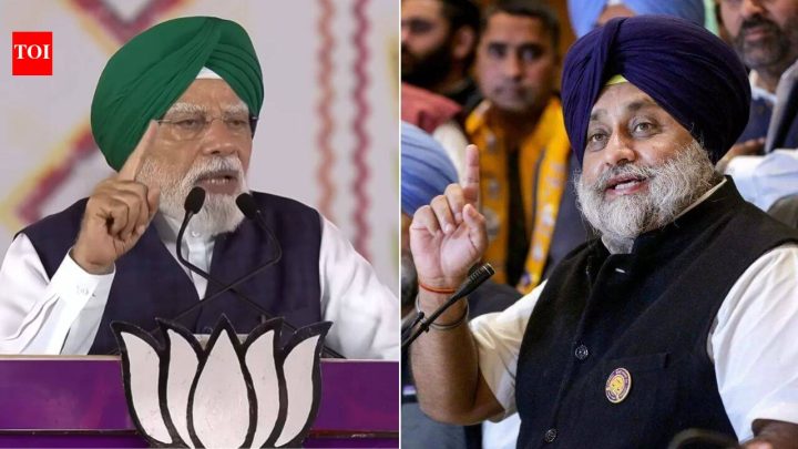 India'A border state': Akali leader fuels buzz over SAD-BJP reunion, gives this reason