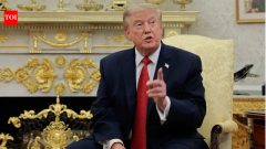 USTrump’s Harp strings: The aide who strums the President’s ego
