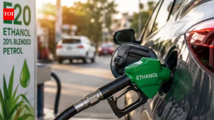 IndiaGovt planning to bring E10 back? Clamour grows after top bureaucrat's remark