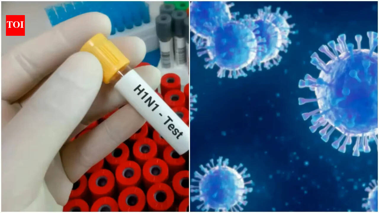 IndiaH1N1 alert: Health ministry lists symptoms to look for as Delhi crosses 1,700 cases
