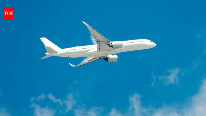 IndiaSoon, no need for physical boarding cards at immigration