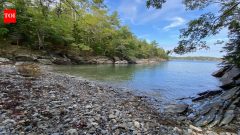Rest of WorldMaine island bought by 27-year-old in 1964 later became wildlife sanctuary