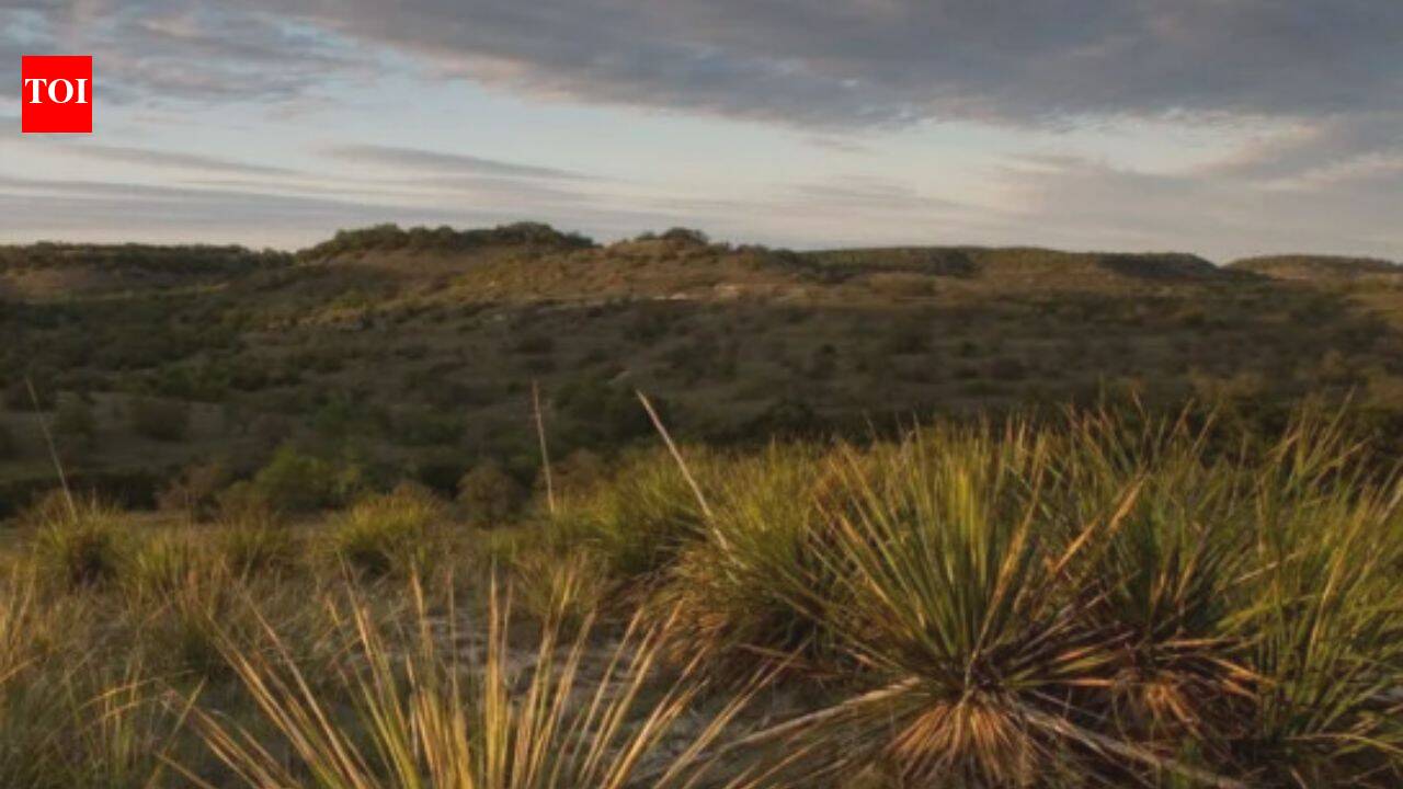 In 1969, a Church’s co-founder bought 3,000 acres of neglected Texas ranchland