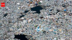 SciencePacific garbage patch spans 1.6 million sq km as fishing gear dominates debris