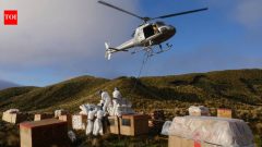 New Zealand wiped out 200,000 mice on Antipodes Island, boosting native birds