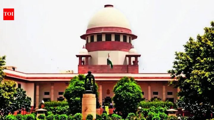 IndiaChange in revenue record doesn't create, end property title: SC