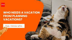 TravelKlook launches search for travel planners to win a fully planned Swiss getaway