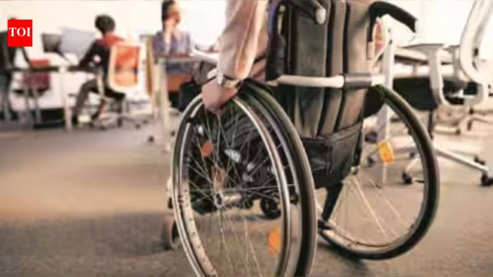 IndiaDisability rights groups raise concern over Census enumeration framework