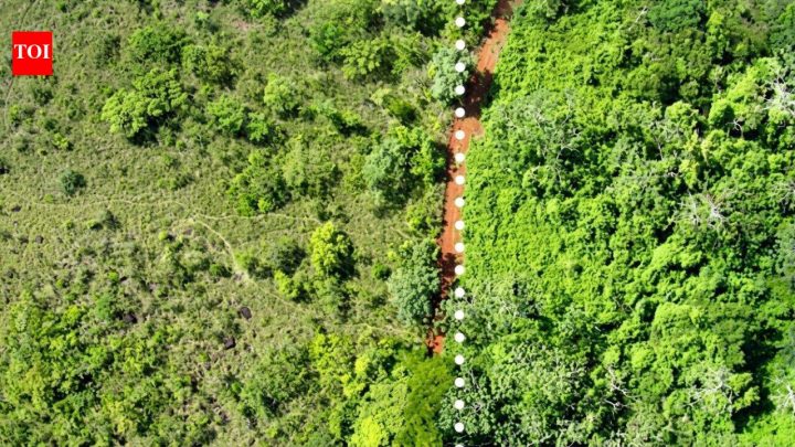 Rest of WorldCosta Rica spread 12,000 tonnes of orange waste; forest biomass later rose 176%