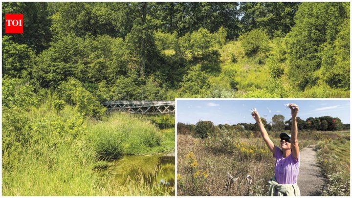 Indiana couple turns $5.5M closed golf course into county's largest preserve