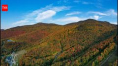 Vermont to expand Snake Mountain WMA and secure 949 acres of timber rights