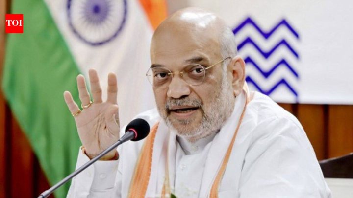 India'Nation is not a dharamshala': Shah sets target for illegal immigration-free India