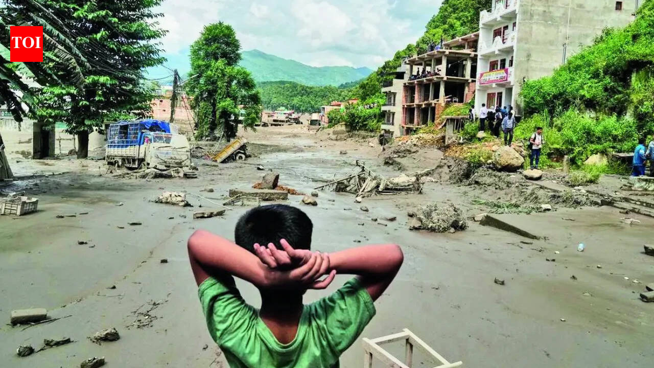 South AsiaNepal flood: For centuries, flood-hit corridor was key route of Himalayan trade