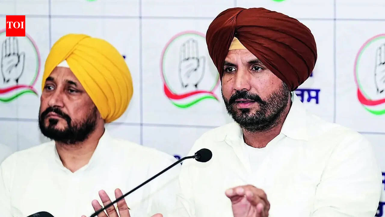 IndiaDissidents push for Hindu Pradesh Congress Committee chief to end Punjab crisis