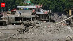Visa rejection broke her heart, then saved her life: Bengal woman escapes Nepal floods