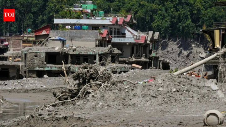 Visa rejection broke her heart, then saved her life: Bengal woman escapes Nepal floods