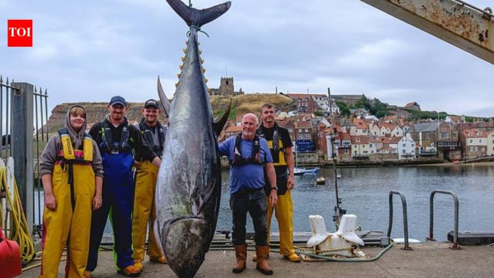746lb bluefin tuna caught off Yorkshire as species returns to UK waters