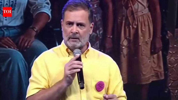 IndiaBJP cites ‘jhooth ki goonj’ site to hit out at Rahul Gandhi