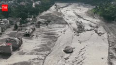 IndiaNepal floods: No adverse impact of flash floods on Indian side, says NDRF