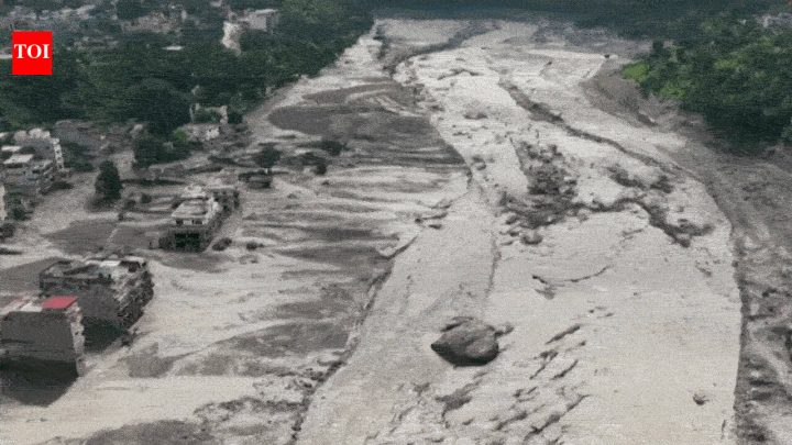 IndiaNepal floods: No adverse impact of flash floods on Indian side, says NDRF