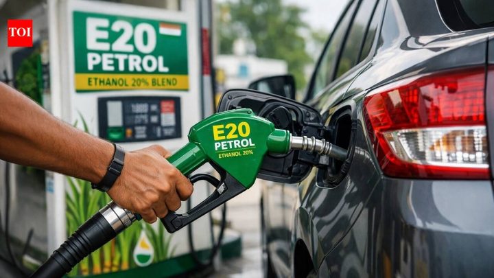 IndiaBPCL CMD says mulling E10 petrol option, then walks back