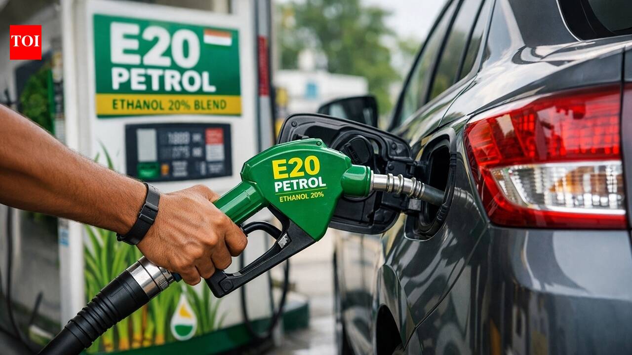IndiaBPCL CMD says mulling E10 petrol option, then walks back