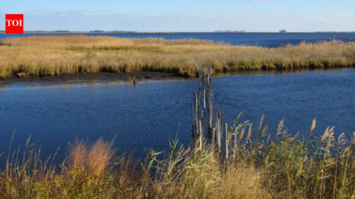 Glenn L Martin donated over 2,500 acres that now protect migratory birds