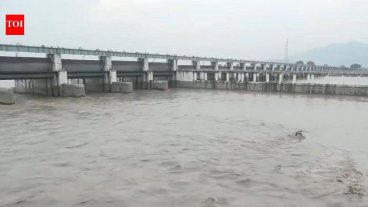 PatnaFlood fears in Bihar as several rivers cross danger marks amid Nepal rains
