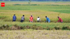 IndiaAugust rainfall fails to reduce India's monsoon deficit