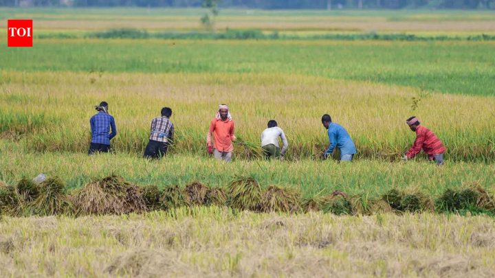 IndiaAugust rainfall fails to reduce India's monsoon deficit