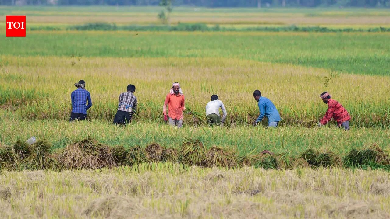 IndiaAugust rainfall fails to reduce India's monsoon deficit