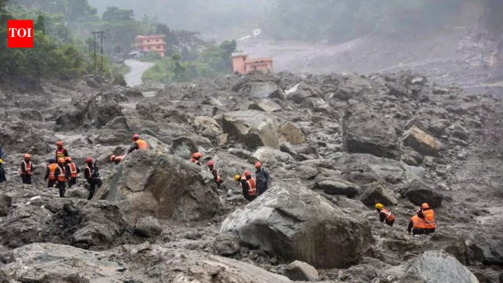 South Asia4 days under debris, still alive: How a 97-year-old woman survived Nepal floods