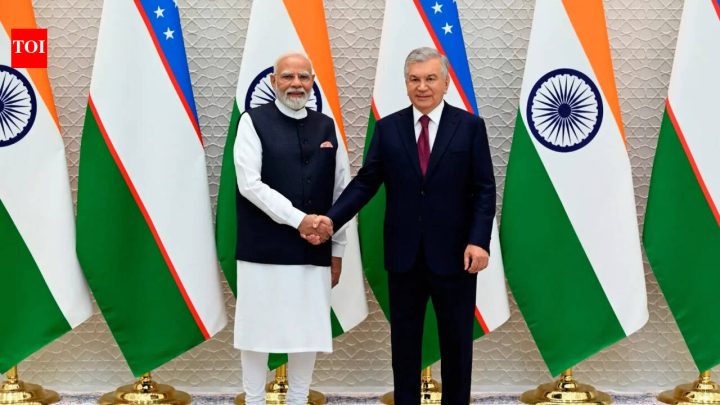 IndiaIndia, Uzbekistan aim to take bilateral trade to $5 billion by 2030: MEA